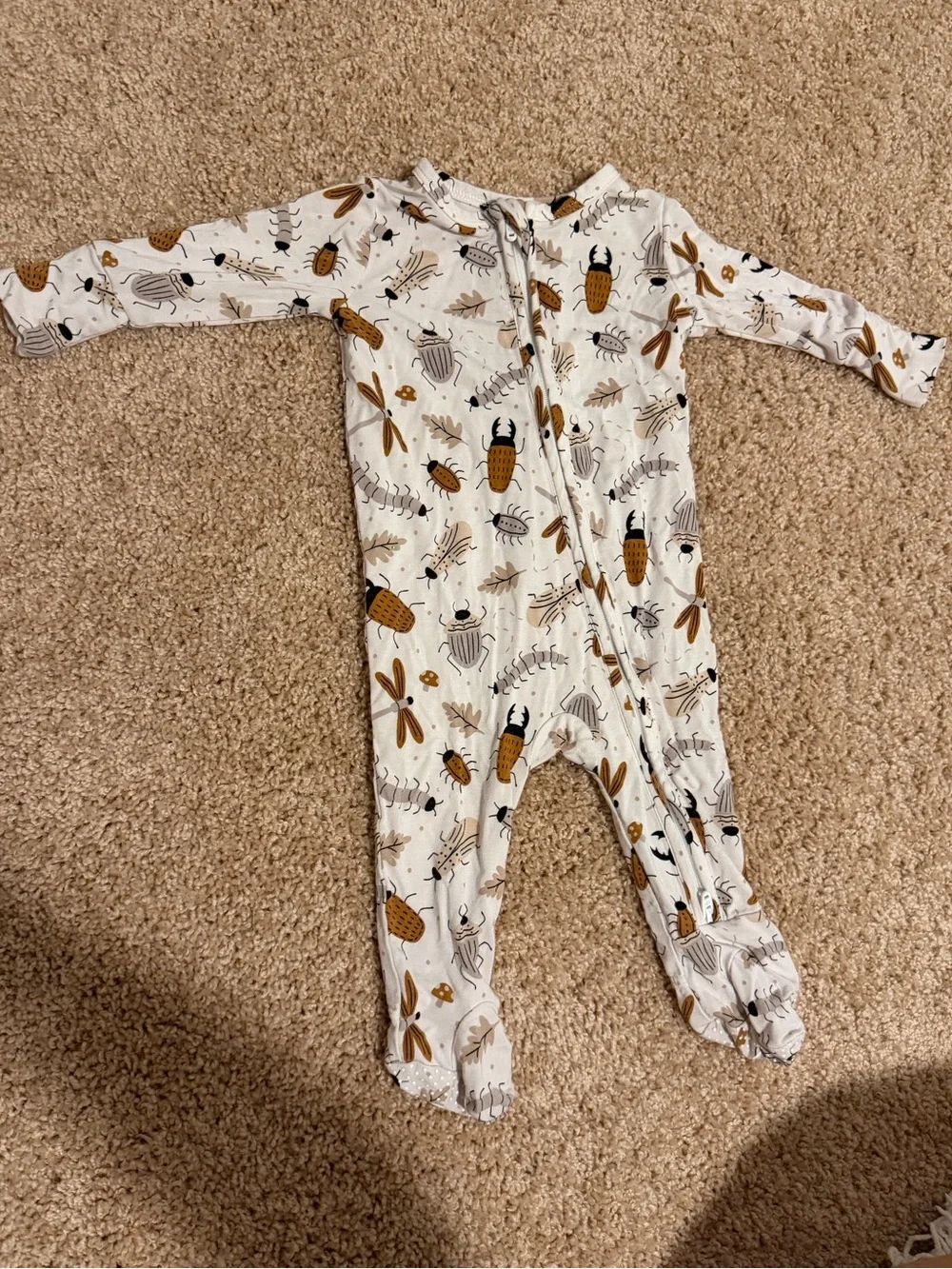Caden Lane Insect Zippy